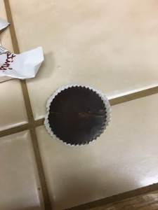 13892328_858772710890711_2682242299046796860_n